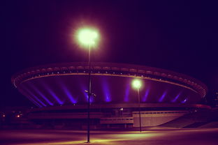 江苏队新秀崭露头角，未来电竞场盛放！，江苏电竞职业选手有谁