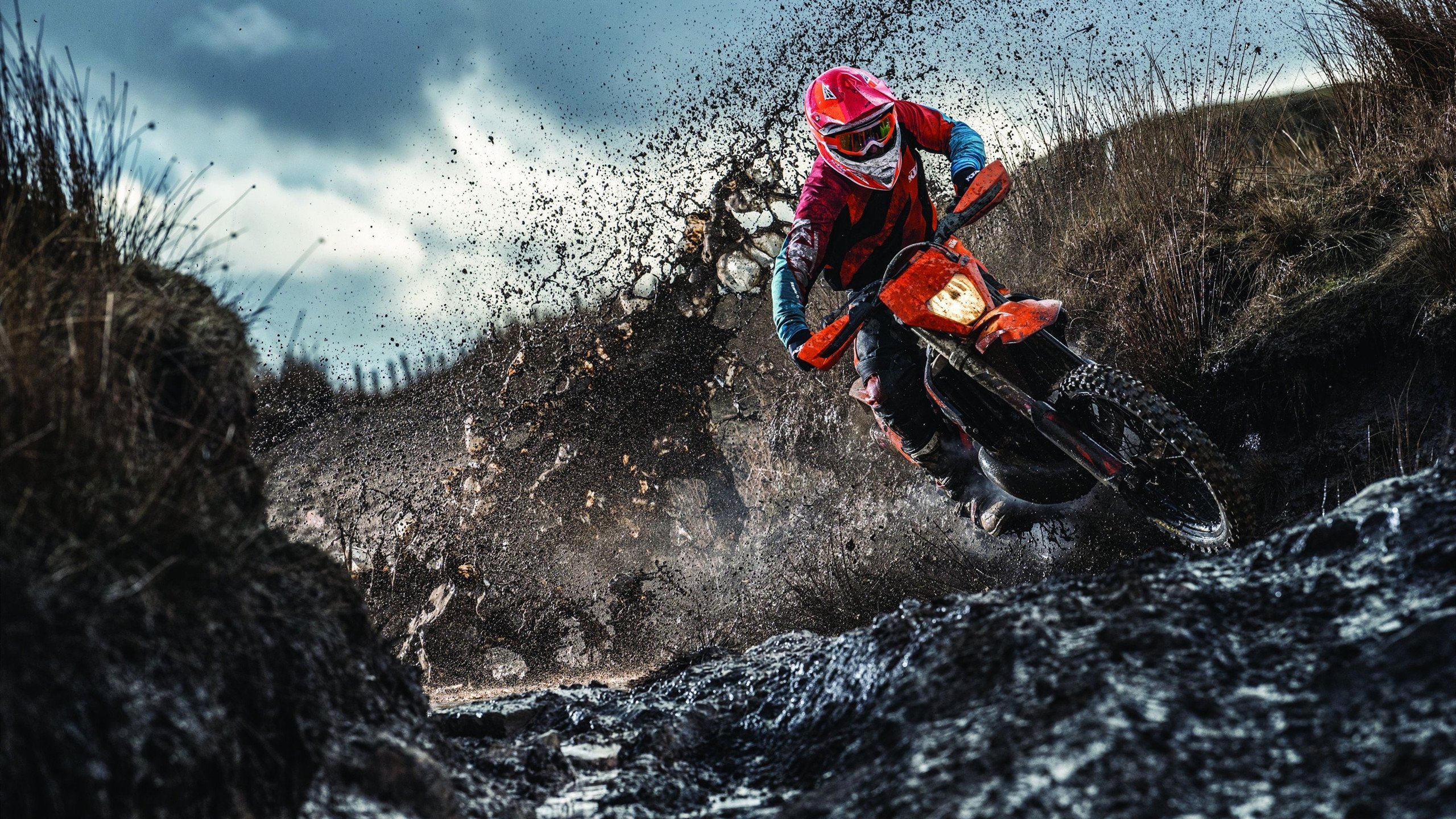 李雯雯讲述奥运之路的努力与坚持，李雯雯讲述奥运之路的努力与坚持视频